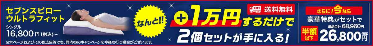 2023年9月】トゥルースリーパーの半額キャンペーンセール【セットのみ 