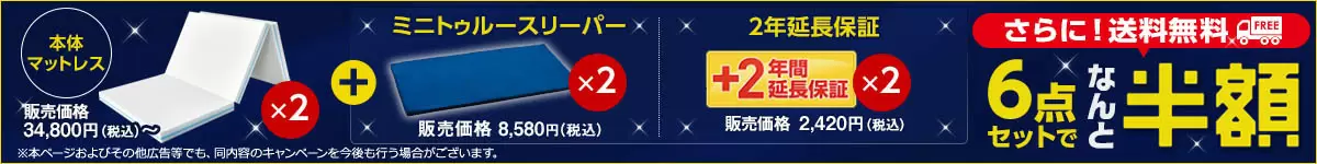 公式】トゥルースリーパー プレミアリッチ三つ折りタイプ（柔らかめ