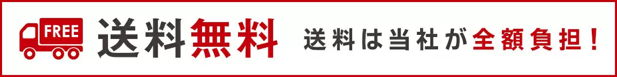 健康ステッパー ナイスデイ｜ショップジャパン【公式】テレビ 