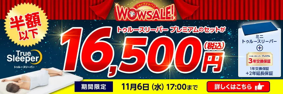 定価32780円 トゥルースリーパー　プレミアム(シングル)＋万能まくらセット トゥルースリーパー プレミアム(シングル)＋低反発 万能まくら