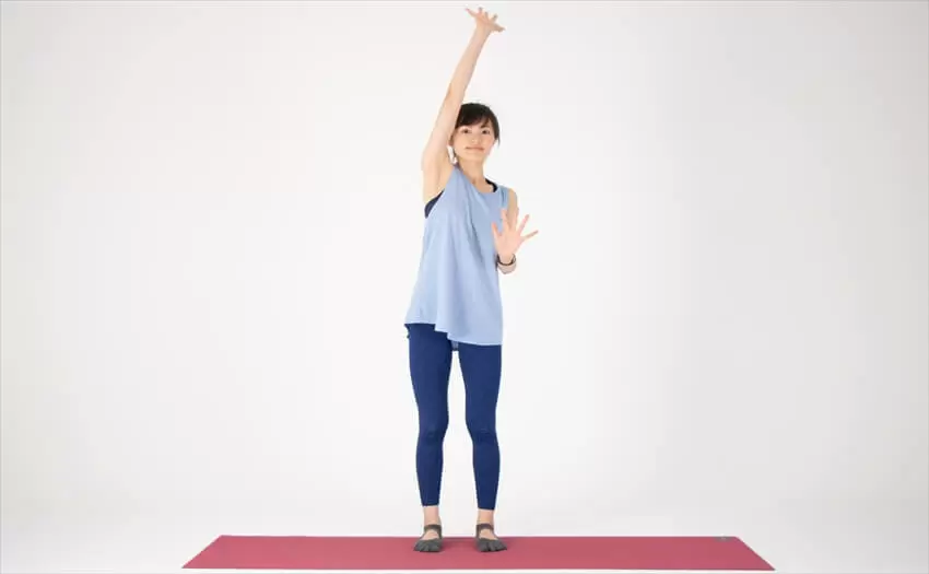 二の腕が太くなる原因とそれを防ぐ方法 Diet Labo ダイエットラボ ショップジャパン