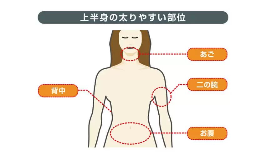 上半身の太りやすい部位