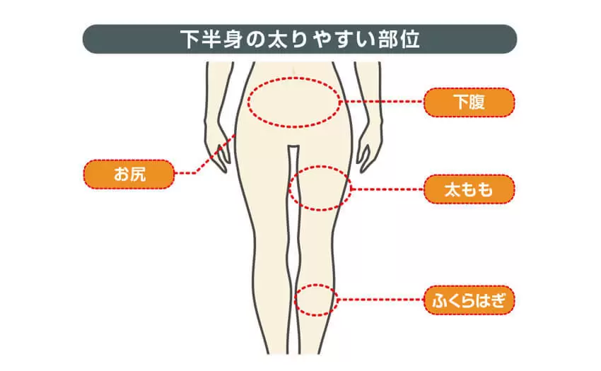 下半身の太りやすい部位