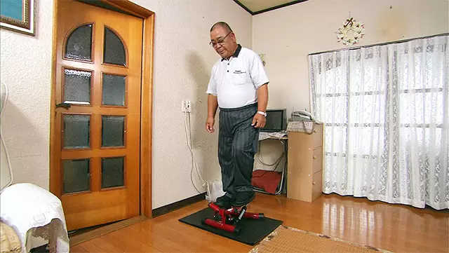 健康ステッパー ナイスデイ ショップジャパン