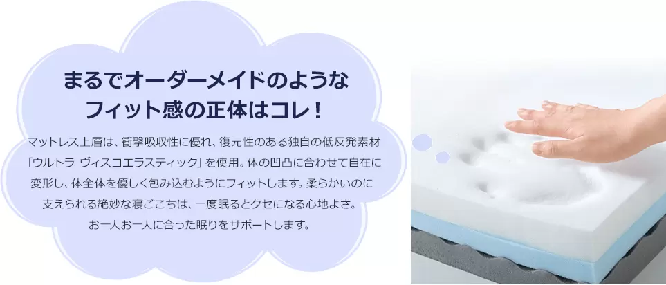 公式】トゥルースリーパー プレミアメルティスト(低反発 公式】トゥルースリーパー プレミアメルティスト(低反発