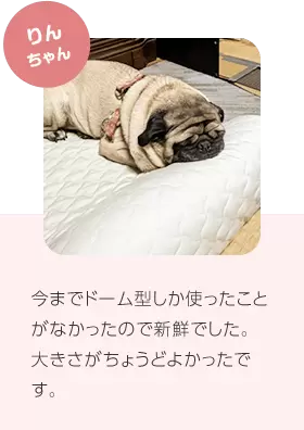 公式】トゥルースリーパー ペットベッド｜ショップジャパン