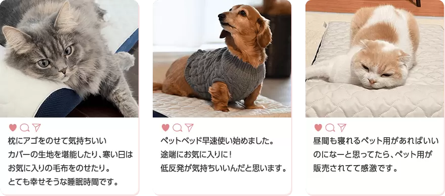 公式】トゥルースリーパー ペットベッド｜ショップジャパン テレビ