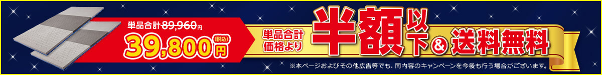 トゥルースリーパー エアフリーが単品合計価格より半額以下＆送料無料！