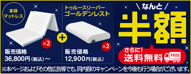公式】トゥルースリーパー プレミアリッチ三つ折りタイプ（柔らかめ