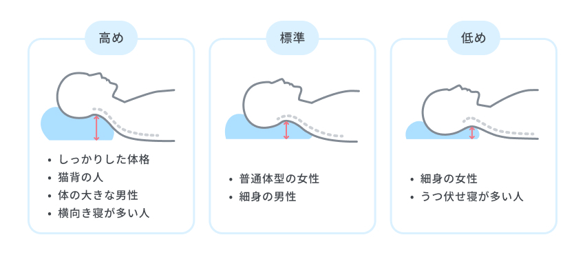 体格や性別によっても選ぶべき枕の高さは異なる