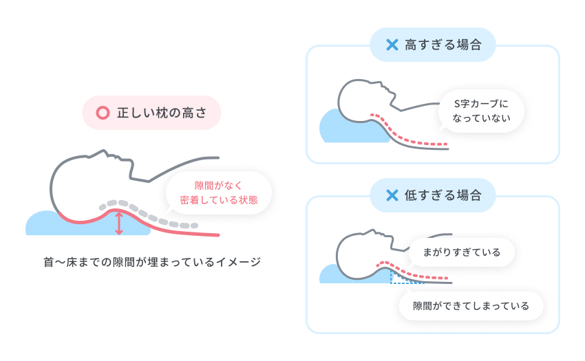 仰向け寝の理想は背筋が適度なS字になっている状態