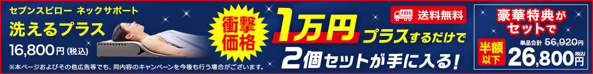 衝撃価格 セブンスピロー ネックサポート洗えるプラス16,800円(税込)1万円プラスするだけで2個セットが手に入る!豪華特典がセットで半額以下26,800円(税込)