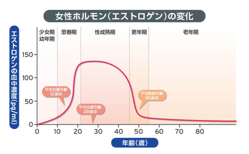 女子ホルモン（エストロゲン）の変化