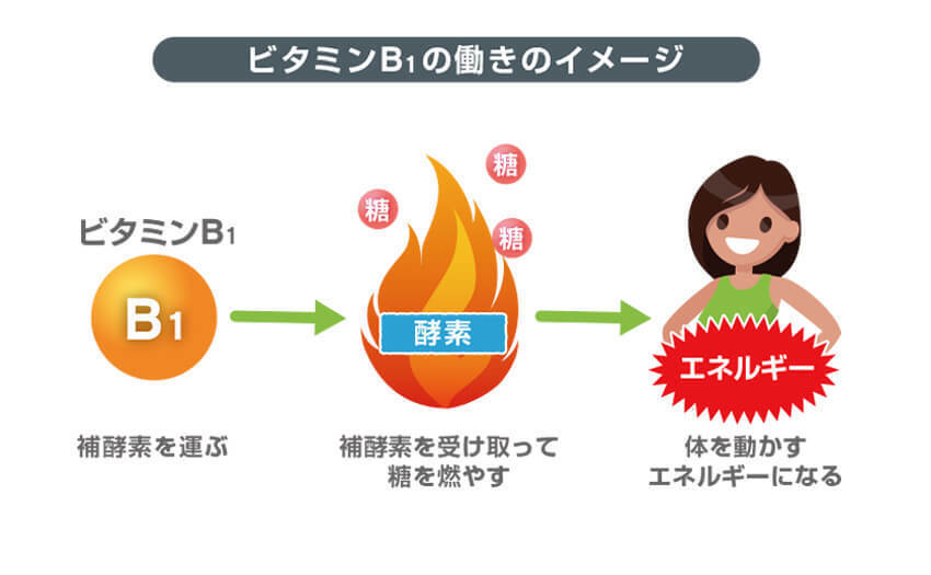 ビタミンB1の働きのイメージ