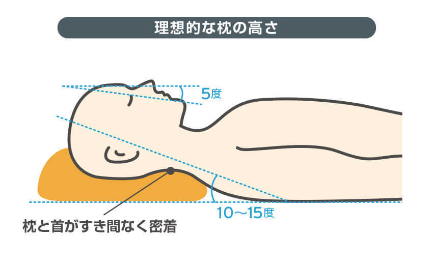 理想的な枕の高さ