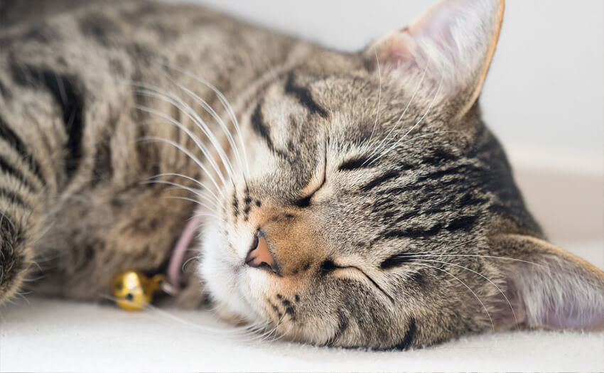 快適に眠るための環境チェックリスト