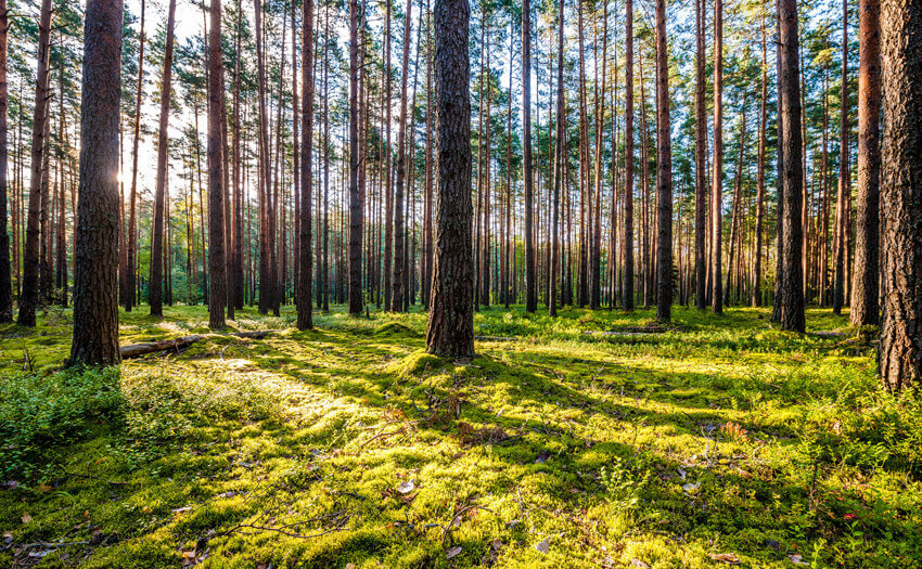 寝苦しい夜、快適な室温とは? なるべく湿度にも気を付ける