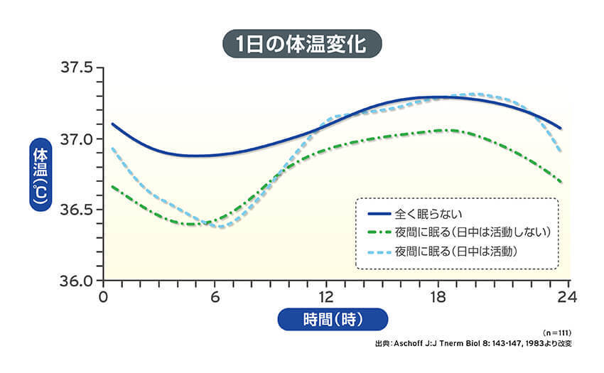 1日の体温変化