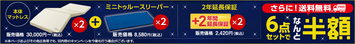 トゥルースリーパー プレミアケア 布団タイプが6点セットでなんと半額！さらに送料無料！