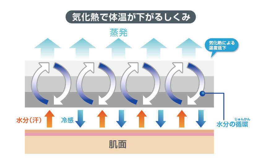 気化熱で体温が下がるしくみ