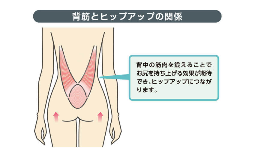 背筋とヒップアップの関係