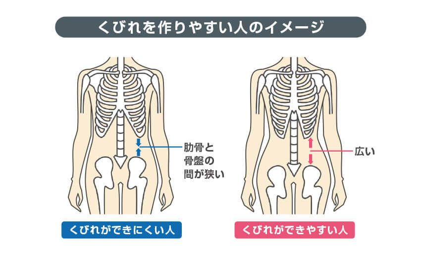 くびれを作りやすい人のイメージ