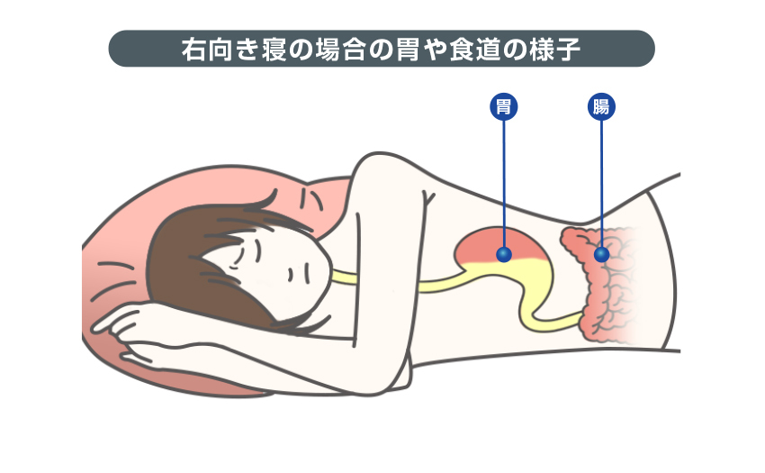 寝る向き 胃もたれ 横向きに寝るのは「右向き」と「左向き」どちらが良い？