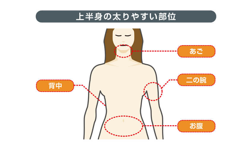 上半身の太りやすい部位