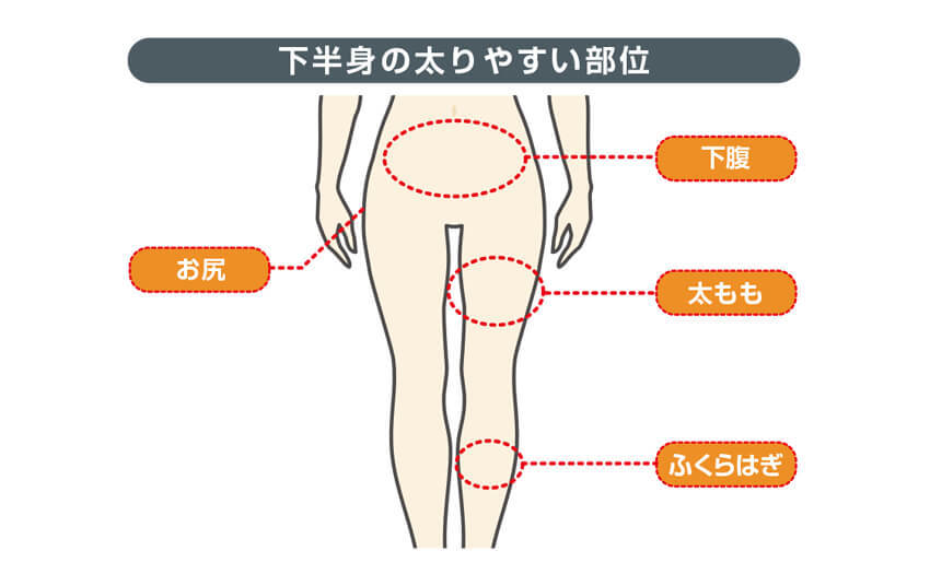 あなたはどこから 太りやすい部位と原因 Diet Labo ダイエットラボ ショップジャパン