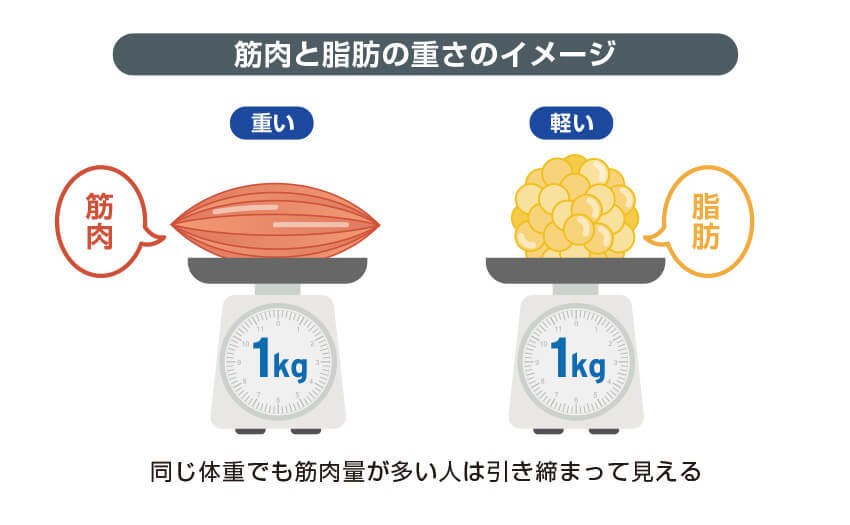 筋肉と脂肪の重さのイメージ