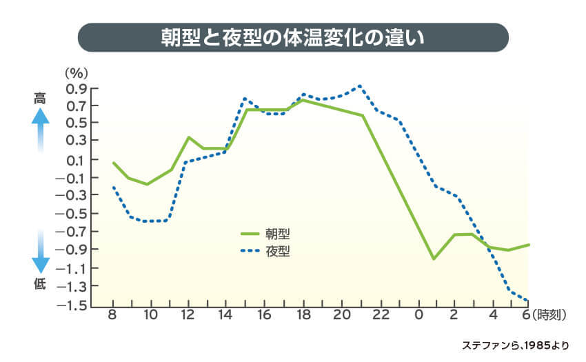 朝型と夜型の体温変化の違い