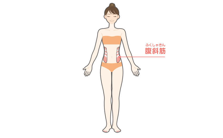 サイドクランチの正しいやり方 効果 Diet Labo ダイエットラボ ショップジャパン サイドクランチの正しいやり方 効果 Diet Labo ダイエットラボ ショップジャパン