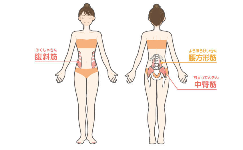 サイドブリッジの正しいやり方 効果 Diet Labo ダイエットラボ ショップジャパン サイドブリッジの正しいやり方 効果 Diet Labo ダイエットラボ ショップジャパン