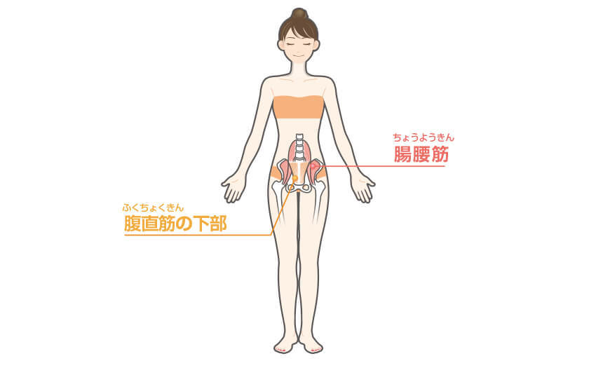 ヒップレイズの効果のある部位