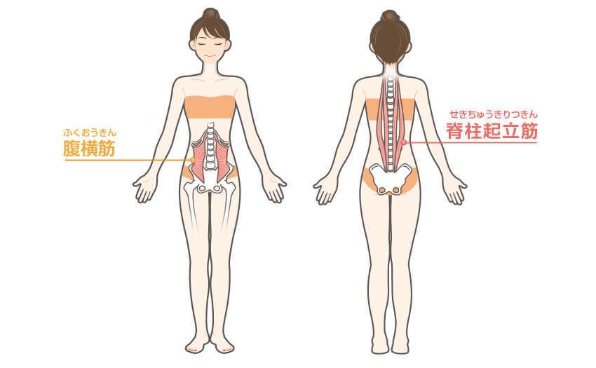 られる プランク 筋肉 鍛え プランクを毎日行う効果は？鍛えられる部位や筋肉痛について解説