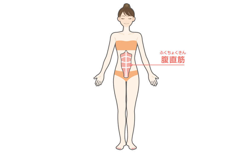 腹筋(シットアップ)の効果のある部位
