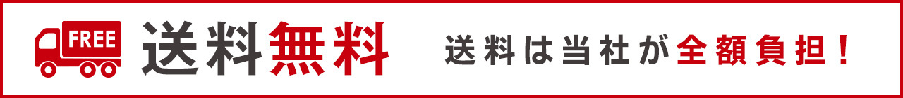 トゥルースリーパー セブンスピロー（低反発枕）が送料無料！