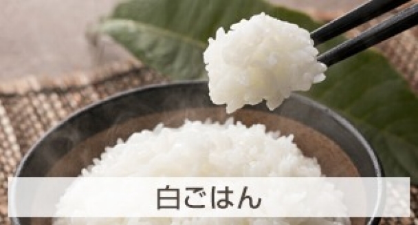 白ごはん