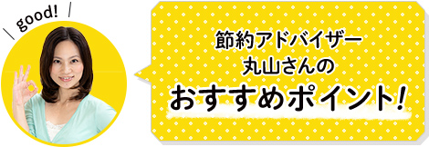 節約アドバイザー丸山さんのおすすめポイント!