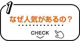 1 なぜ人気があるの? CHECK