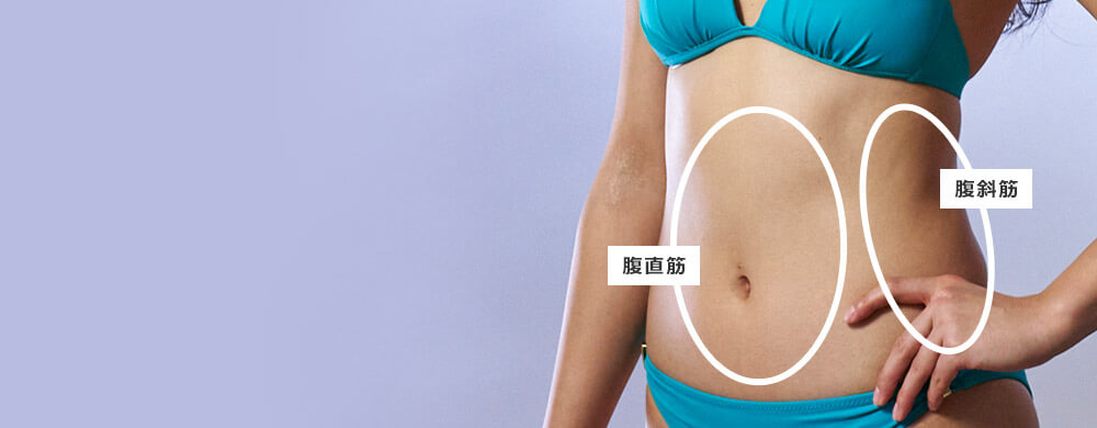 腹直筋 腹斜筋