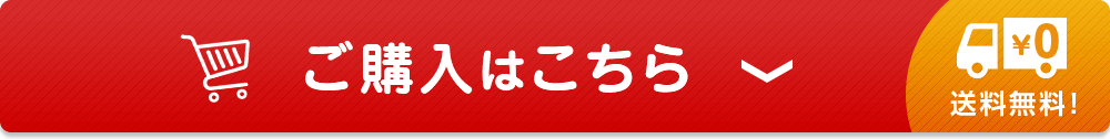 ご購入はこちら 送料無料！