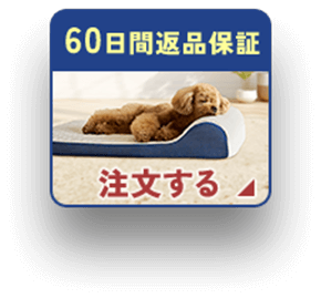 60日間返品保証 注文する