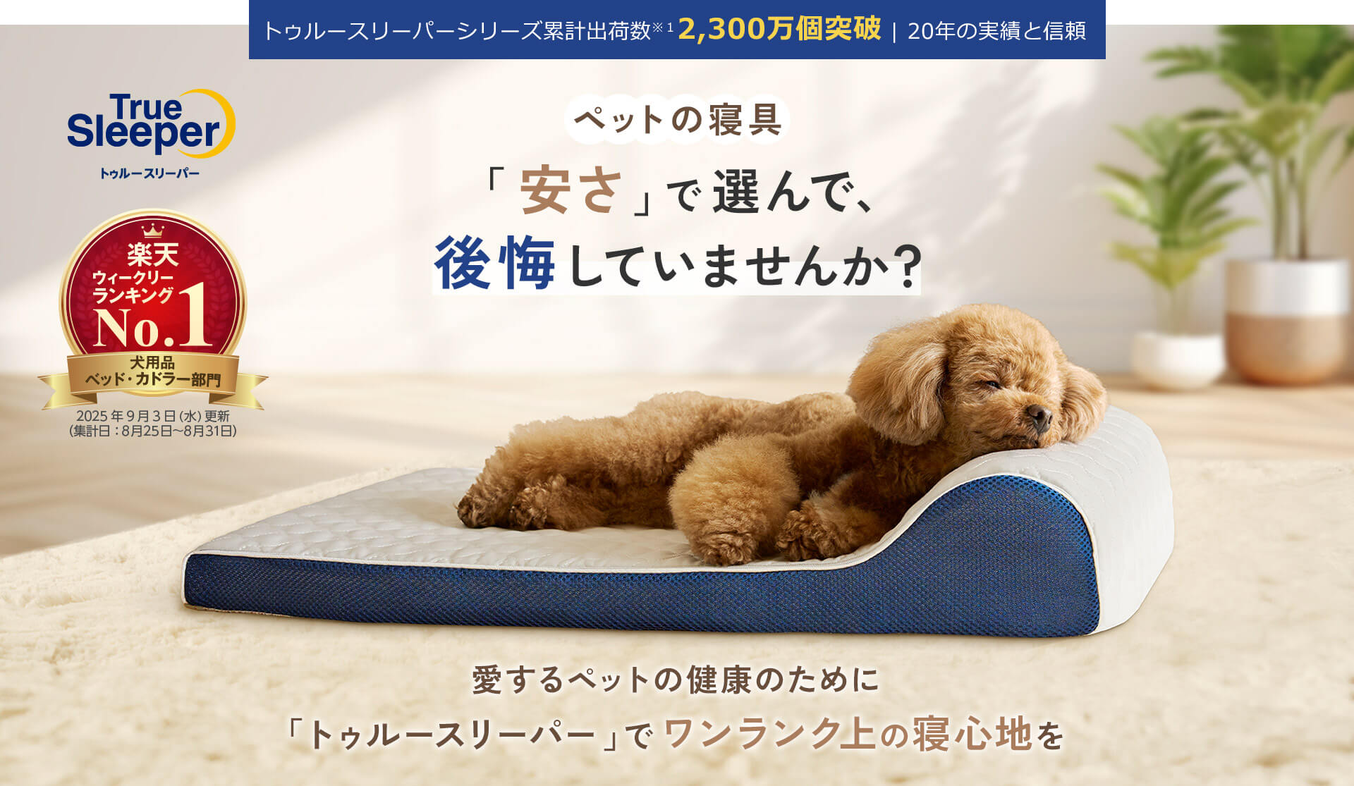 トゥルースリーパーシリーズ累計出荷数※1 2,300万個突破 20年の実績と信頼 True Sleeper トゥルースリーパー ペットの寝具 「安さ」で選んで、後悔していませんか？ 楽天 ウィークリーランキングNo.1 犬用品 ベッド・カドラー部門 2025年9月3日（水）更新（集計日：8月25日～8月31日） 愛するペットの健康のために 「トゥルースリーパー」でワンランク上の寝心地を