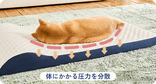 体にかかる圧力を分散