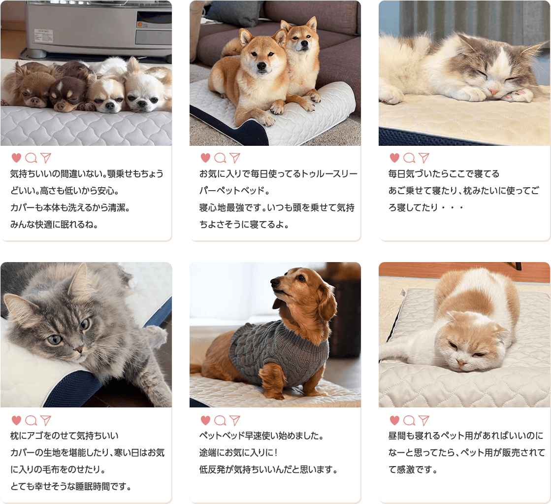 気持ちいいの間違いない。顎乗せもちょうどいい。高さも低いから安心。カバーも本体も洗えるから清潔。みんな快適に眠れるね。 お気に入りで毎日使ってるトゥルースリーパー ペットベッド。寝心地最強です。いつも頭を乗せて気持ちよさそうに寝てるよ。 毎日気づいたらここで寝てる あご乗せて寝たり、枕みたいに使ってごろ寝してたり… 枕にアゴをのせて気持ちいいカバーの生地を堪能したり、寒い日はお気に入りの毛布をのせたり。とても幸せそうな睡眠時間です。 ペットベッド早速使い始めました。途端にお気に入りに！低反発が気持ちいいんだと思います。 昼間も寝れるペット用があればいいのになーと思ってたら、ペット用が販売されてて感激です。