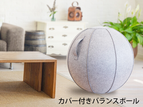 カバー付きバランスボール1