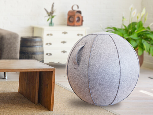 カバー付きバランスボール3