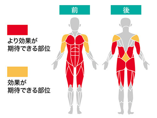 ワンダーコア ツイスト3