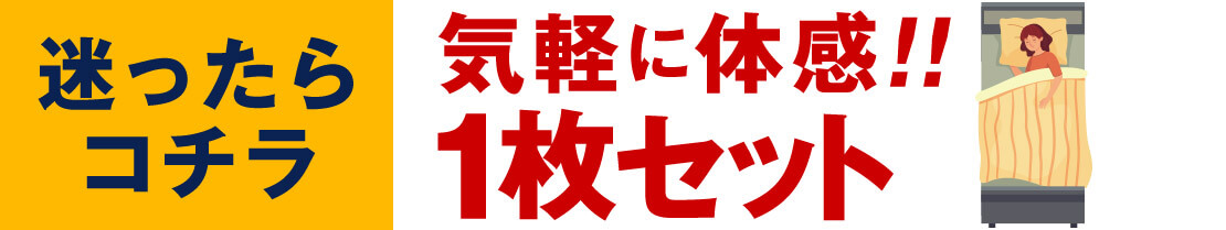 迷ったらコチラ 気軽に体感！！1枚セット